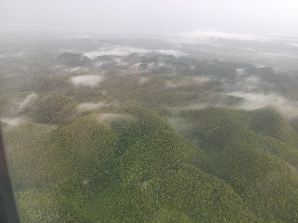 Siargao Coconuts and Bananas